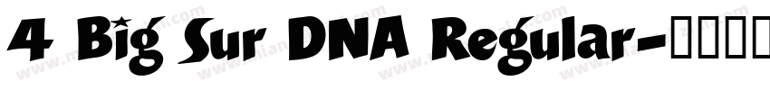 4 Big Sur DNA Regular字体转换